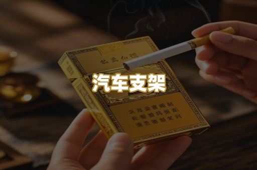 汽车支架